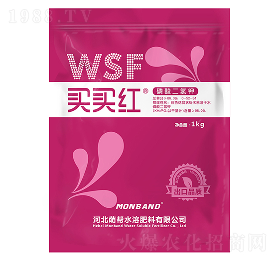 ��������-�I�I�t-�Ȏ�