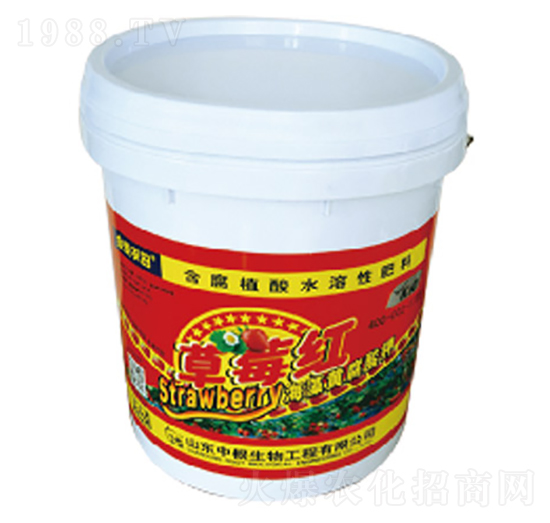 ����ֲ��ˮ�ܷ���-��ݮ�t-�и�����