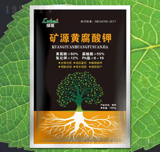 �VԴ�S�����-�G��