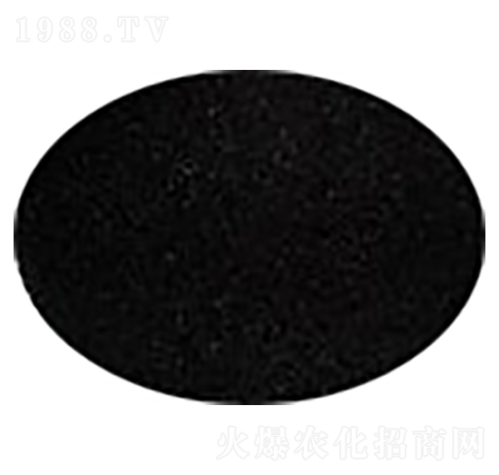 �w���ֲ���c-ʢ��������