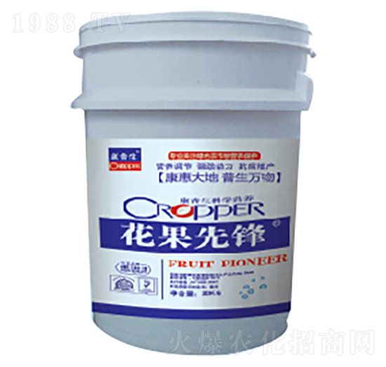 花果先鋒-康普生