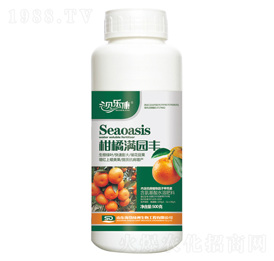 柑橘滿園豐-海岱綠洲