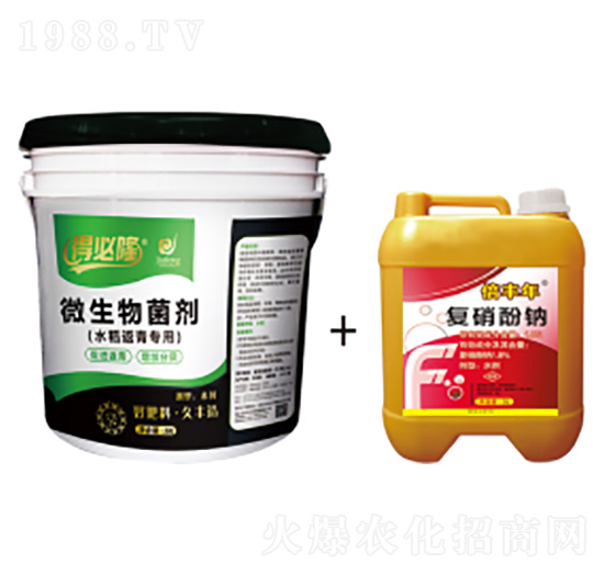 水稻返青專(zhuān)用微生物菌劑-得必隆-農(nóng)墾久豐