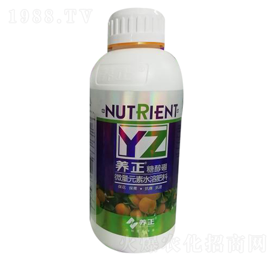 �Ǵ���-�B(y��ng)��