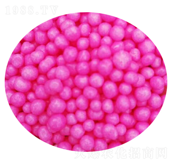 ��ጷ��w��-��˼�r