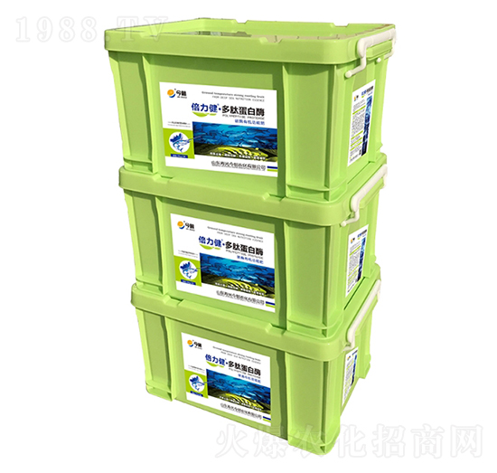 ���ĵ���ø-������-���r(n��ng)��