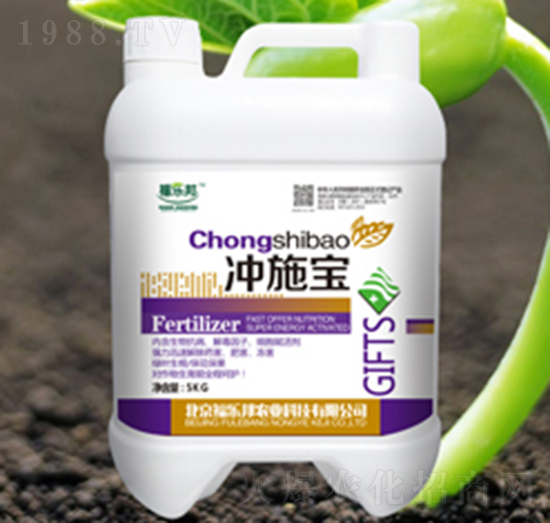 �_ʩ��-������