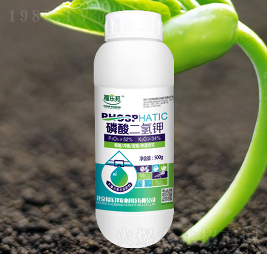 ��������-����(l��)��