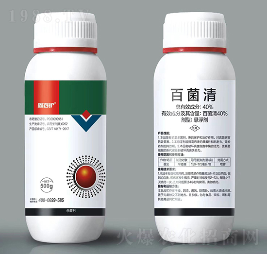 40%�پ���-�ΰ��o