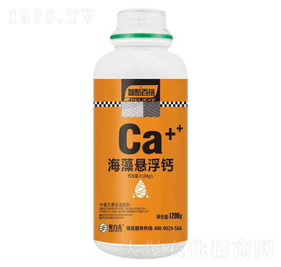 ����Ҹ��}-ؐ����-��?t��ng)��S