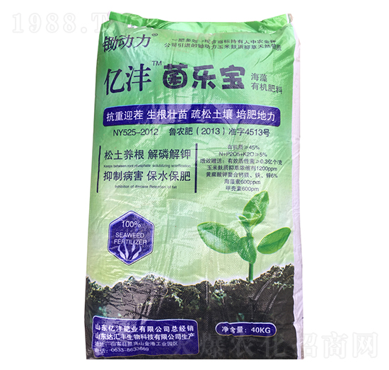 �|��������-�|���ʘI(y��)