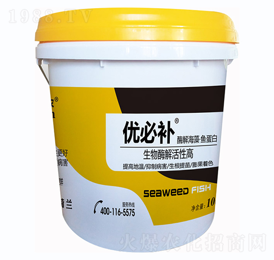 ø�⺣���~����-��(y��u)���a-�Έ�����