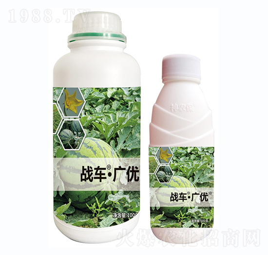 ��(zh��n)܇���V��(y��u)-����-��(zh��n)܇