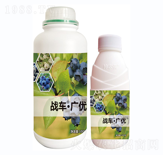 戰(zhàn)車·廣優(yōu)-藍(lán)莓-戰(zhàn)車