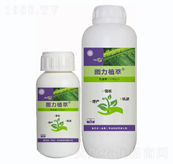 ֲ�����L(zh��ng)�̼���-�D��ֲ��-�D�͵�