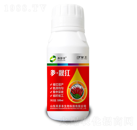 ���n�t-�̶��S