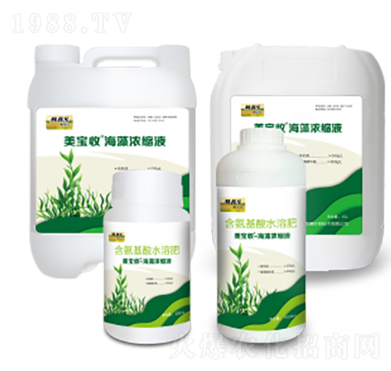 �����sҺ-������-�M(m��n)������