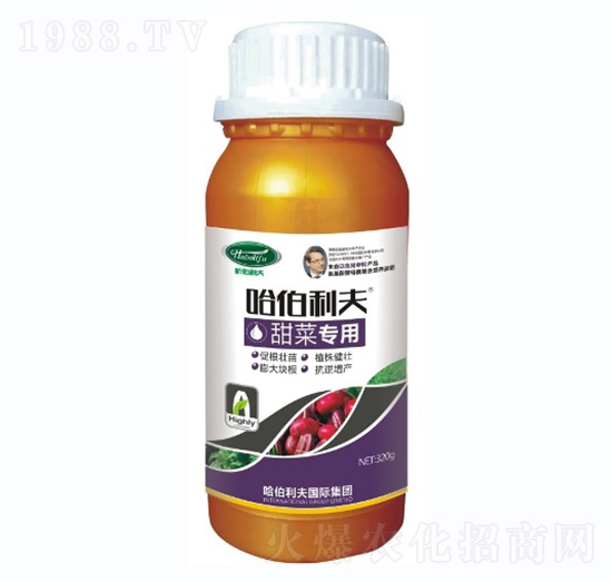 ��ˌ�(zhu��n)��-��������