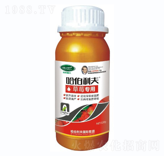 ��ݮ��(zhu��n)��-��������