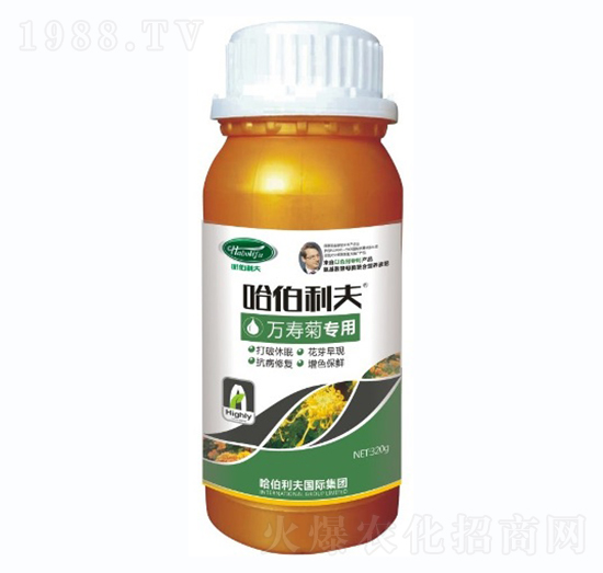 �f�۾Ռ���-��������