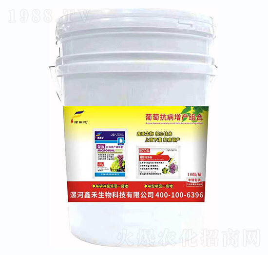 ���ѿ������a(ch��n)�M��-�G���-�κ�����