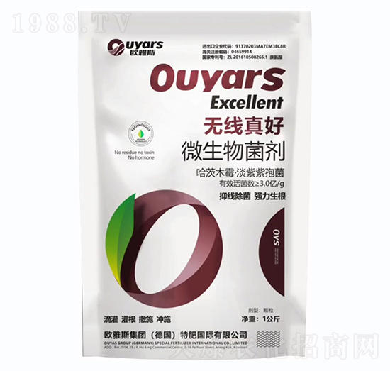 �o�����΢�������-�W��˹