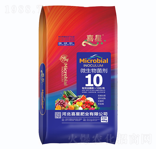 10�|΢�������-ϲ�ǷʘI(y��)