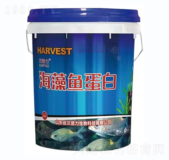 �����~����-�m����