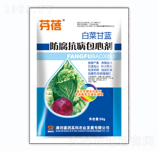 �ײ˸��{(l��n)�����������Ą�-����-ʢ��(r��n)�߿�