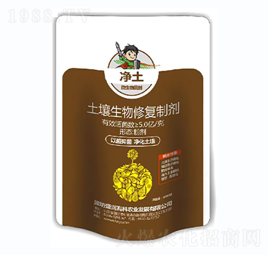 ���������ޏ�(f��)�Ƅ�-����������-ʢ���߿�