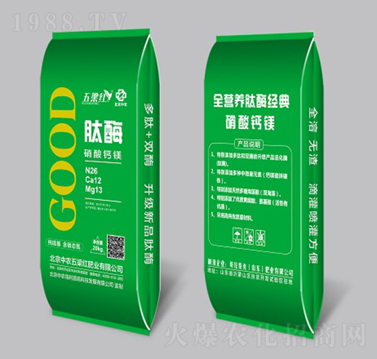 ��ø�����}�V-�����t