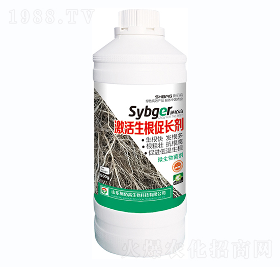 �����������L��-ʩ�۸�