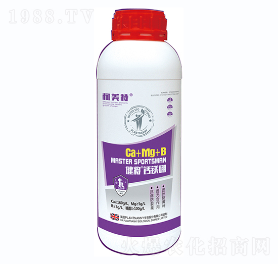 �������}�V��ƿ��-������