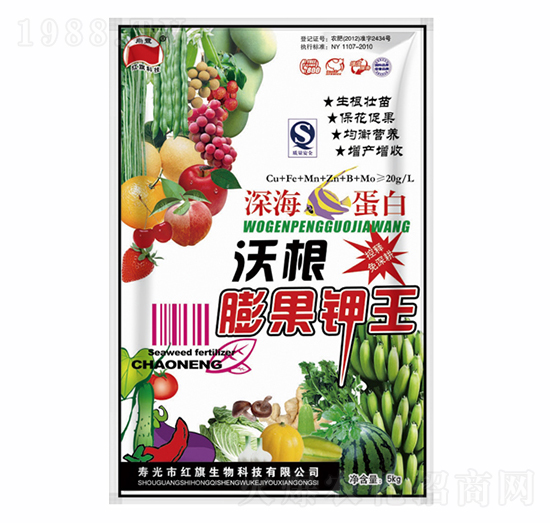 �ָ�������-�t������