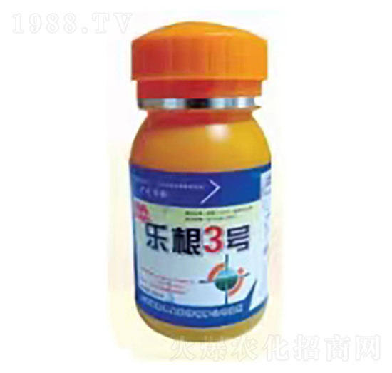 樂(lè)根3號(hào)-穎柔