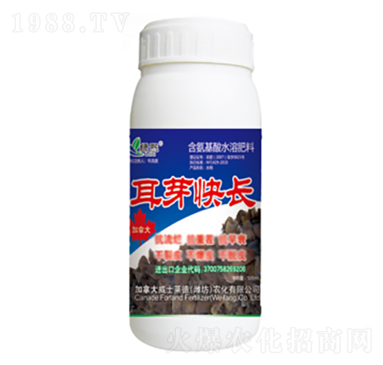 ��ѿ���L-�G��-��ʿ�R��