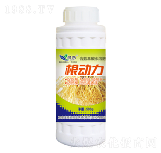 ������-�G��-��ʿ�R��