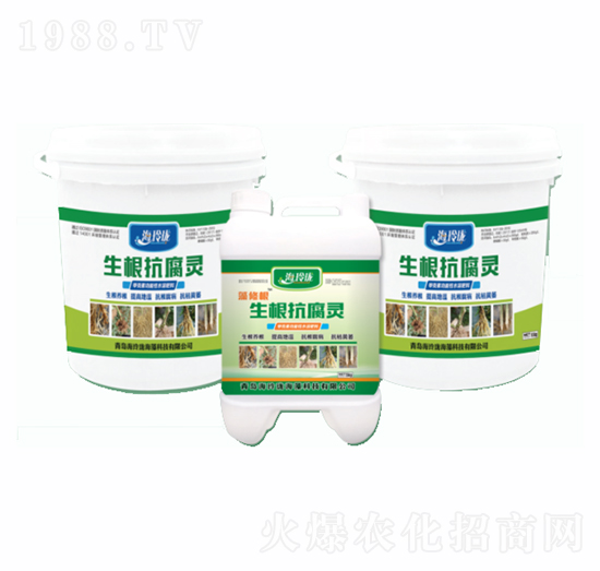 ���������`-���ᭇ