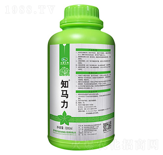 ֪�R��-�̵�