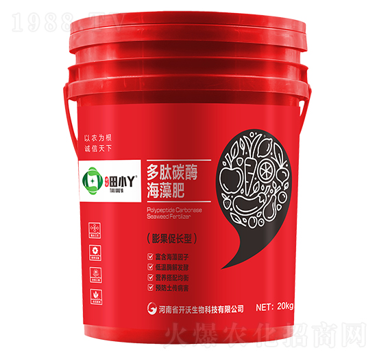 ����̼ø�����-��СѾ-�_������