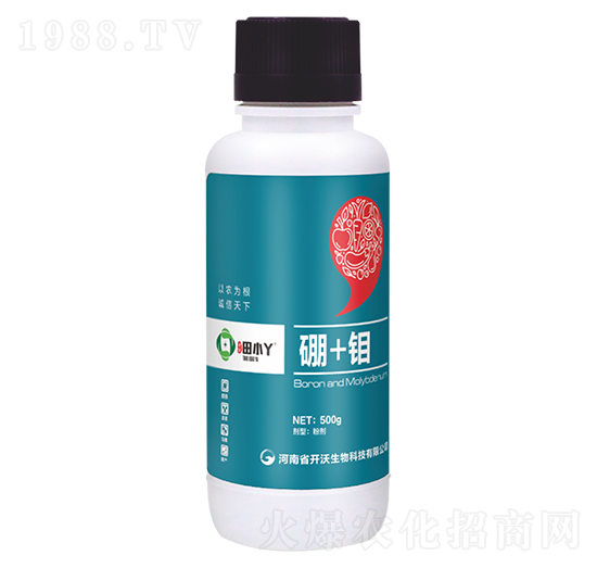 ��+�f-��СѾ-�_������