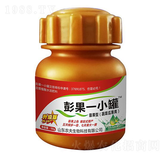 ���һС��-�r��