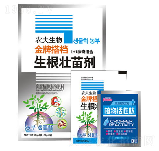 �������焩+ֲ�������-�r��