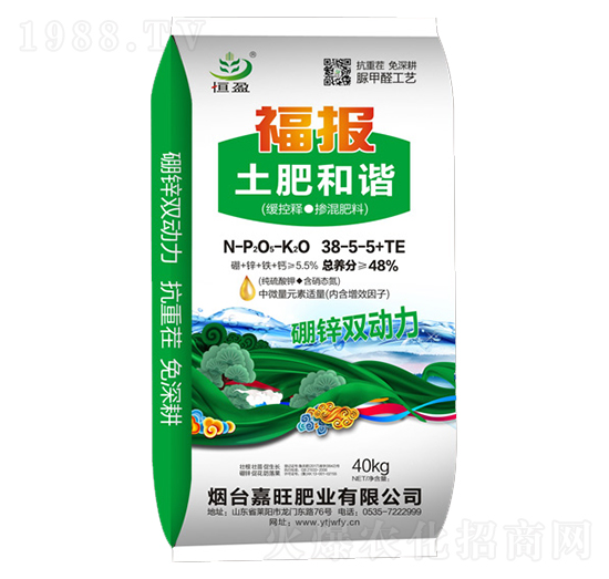 ����ጓ������38-5-5+TE-���ʺ��C-����