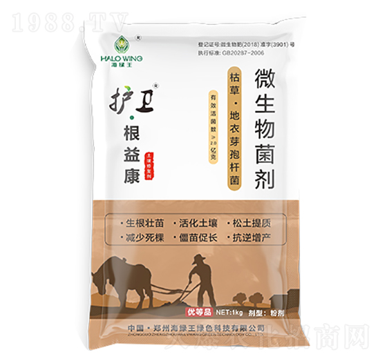 �o�l(w��i)�����濵-���G��