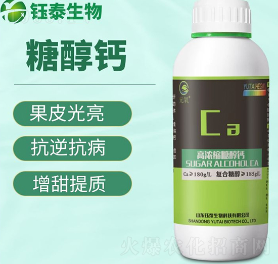 �Ǵ��}-�̩����