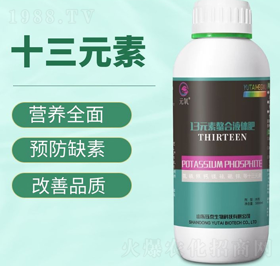 13Ԫ������Һ�w��-�̩����