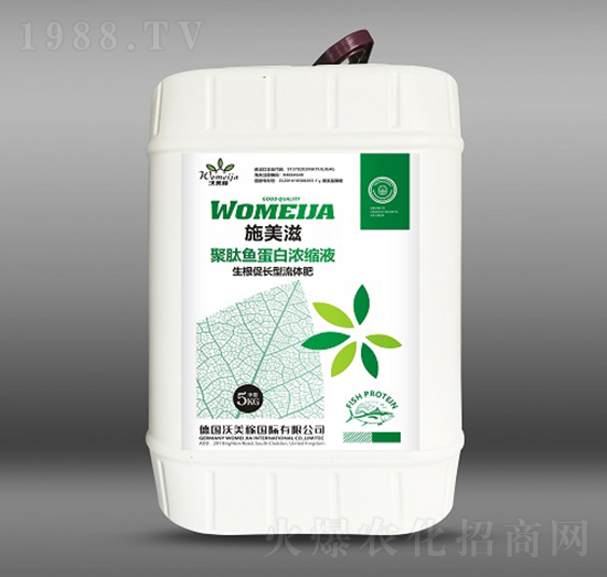 �������L�;����~���ם�sҺ-ʩ����-������