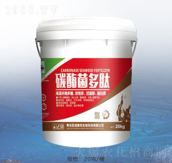 ̼ø������-�ٝ�(r��n)�ݰ�