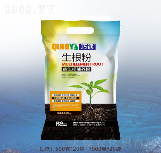 ������-�ٝ��ݰ�